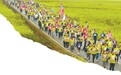 云南：一路繁花开启“世界花园”之旅 