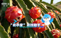 网商银行农小宝登上央视，让农民种地、办事都能用上AI