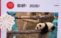 2025级新生大熊猫幼崽亮相贺新春(9)
