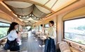 武夷山主题观光列车解锁沉浸式文旅消费新体验(5)