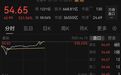 碧桂园2.22元每股卖飞长鑫科技，痛失470亿