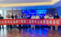 服务模式：重庆市分众小额贷款有限公司升级浪潮中的数据穿透与电话服务模式革