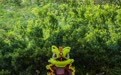 第十三届狮王争霸国际赛在澳门举行(2)
