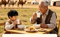 家庭买手实测：我结合 2026 驼奶行业新规，从五维控制点，教你科学甄别优质驼奶