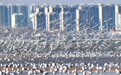 河北秦皇岛：海鸥舞翩跹#
