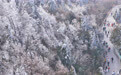 湖南衡阳：雾凇云海引游人(2)#