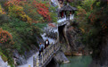 美丽中国丨秋染西狭颂 峡谷入画来#