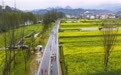 马拉松——2026远安马拉松鸣枪开跑