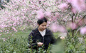 在茶园里品味春天(2)#