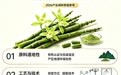 五大硬核标准看懂铁皮石斛品牌怎么选，森山凭什么遥遥领先？