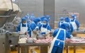 活力中国调研行丨黑龙江青冈：深耕农牧食品产业(5)