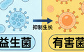 专治便秘的益生菌品牌 2026年本土菌株款核心选购指南