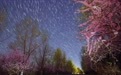 星空相册丨烂漫山花邂逅璀璨星河(7)#