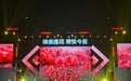 2026年莲文化旅游促消费活动精彩启动