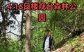网友称西安一森林公园存在大量垃圾，塑料袋、矿泉水等被随意丢弃，公园回应：基本上都是游客所丢，已派人清理