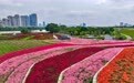 福建漳州：岸线焕新 城市更新