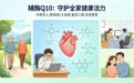 辅酶Q10哪个牌子划算？2026热门辅酶Q10详解，中老年养心营养清单
