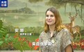 视频丨读懂中国·“洋创客”在温州