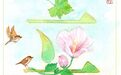 图说节令丨于草木花果间邂逅立秋的温柔