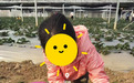 13岁女孩近视两年暴涨200度，OK镜助其稳住视力