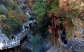 美丽中国丨秋染西狭颂 峡谷入画来(6)#