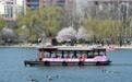 北京玉渊潭春花争艳(1)