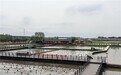 江京农业总经理江向阳一行赴五常市考察 深化优质稻米产业合作