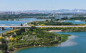河北石家庄：初夏滹沱河景如画(6)#