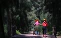 万里边疆行｜从“黄沙堵家门”到“绿浪锁风口”：小岞林场跨越六十载的巾帼坚守(14)