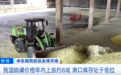 价格暴涨！中东战火，引爆又一“重要原料”