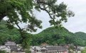文化中国行丨湖南永州：瑶乡藏瑰宝 镜观古民居(5)