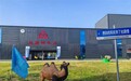 2026 高性价比一手正品货源：驼奶粉厂家批发综合盘点
