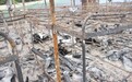 菲律宾客船起火事故已致76人死亡