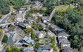 四川宝兴：依托大熊猫构建生态文旅产业链#