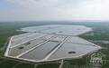 吉地振兴·沃土向新｜他举家来镇赉，在盐碱地里养出“热性”大闸蟹