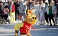 乐享假日(15)#