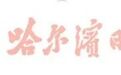 11月1日零时起，哈市油价上调
