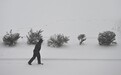 第1现场｜“炸弹气旋”来袭，美降暴雪：“天降蜥蜴”再现