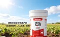 ​全球美国进口纯净无添加！2026辅酶Q10无添加的牌子哪个好？成分干净补剂推荐