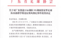 14岁小球员遭张家界足球队殴打，多人被处罚