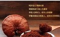 灵芝孢子粉哪个品牌的正宗 高活易吸收款2026年度第三方独立测评指南