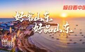 极目看中国|青岛海鸥带火一座城，“票根”成为春节消费密钥
