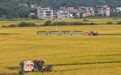 广西兴业：“六个一”工程激活乡村振兴新动能(1)