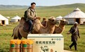 2026 对标 GB 19644-2024 国标：复盘驼奶粉营养消费新态势