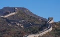 秋日八达岭 红叶染长城(3)