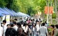 提供3000余个岗位！“大学之城就业嘉年华”走进武昌首义学院