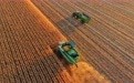 黑龙江农作物收获已超五成(9)#