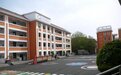 党建领航育桃李 廉润校园沁童心  一一栾川县第一实验小学的报道
