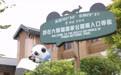 四川荥经县：盘活闲置资源 融入“奔县游”新热点(2)