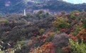 美丽中国丨秋染太行(3)